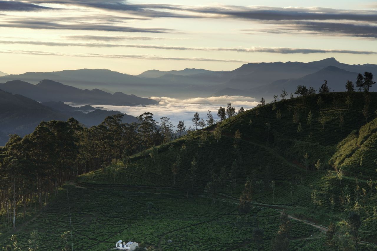Sri Lanka